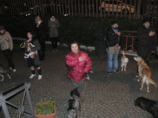 benedizione degli animali foto 2