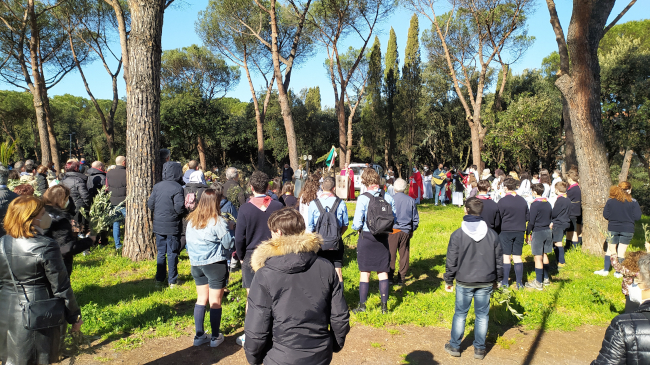 domenica delle palme domenica delle palme