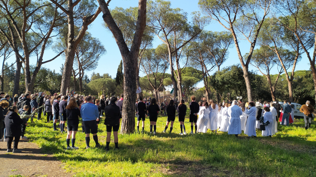 domenica delle palme