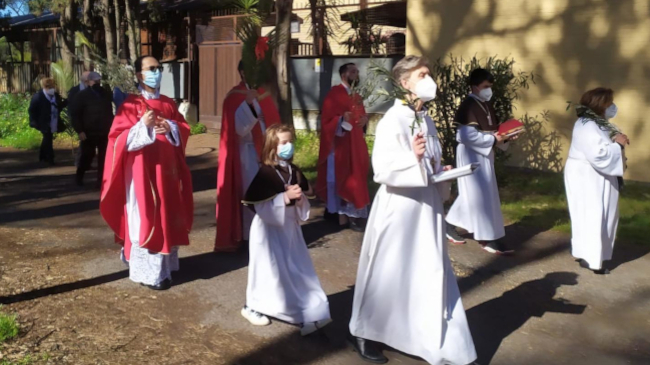 domenica delle palme