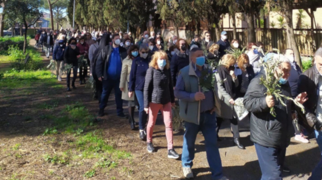domenica delle palme domenica delle palme