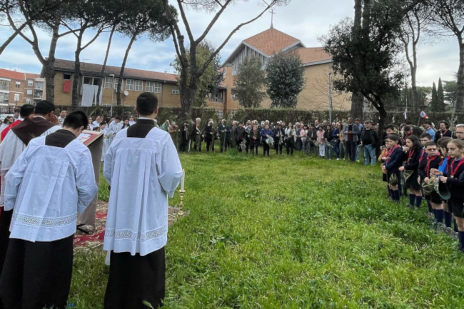 domenica delle palme