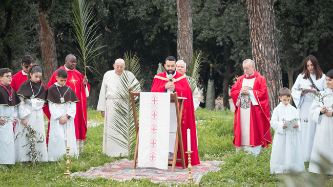 Domenica delle palme Domenica delle palme