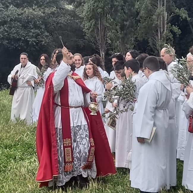 Domenica delle Palme