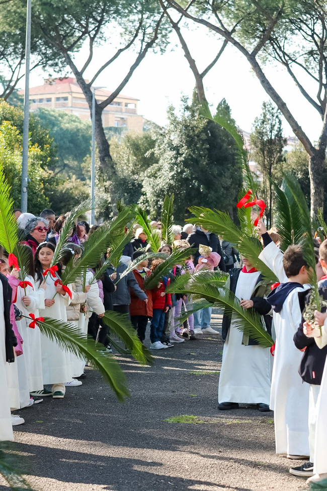 Domenica delle Palme